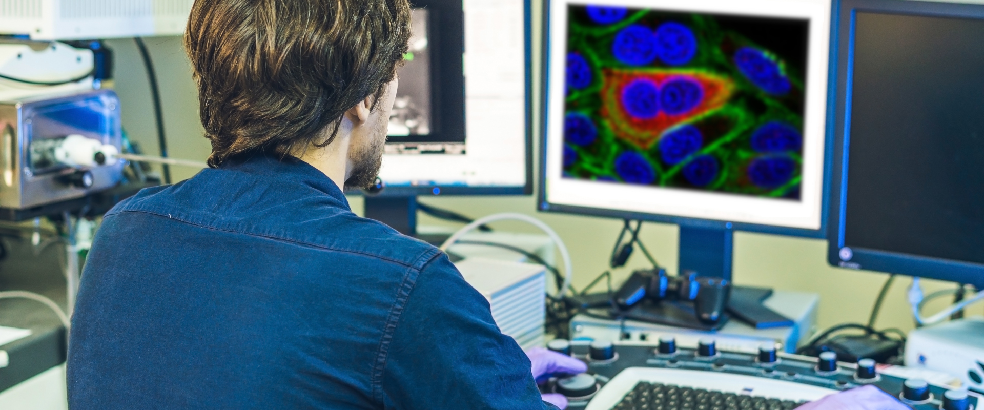 Our high content screening facility provides precise imaging, cell segmentation, and accurate data analysis for your research