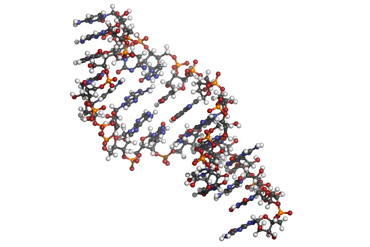 RNAi Target Mapping