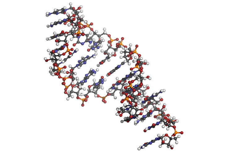 RNA molecule based binding affinity prediction RNA molecule based binding affinity prediction